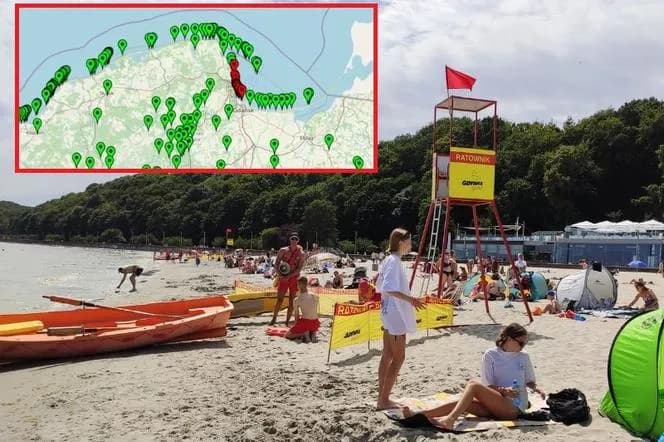 Gdzie sinice w Bałtyku? Sprawdź niebezpieczne miejsca do kąpieli
